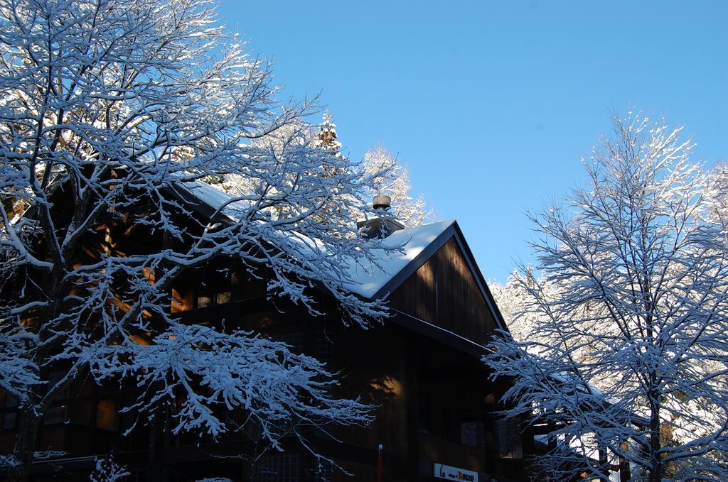 Villa Il Bosco à Hakuba Extérieur photo