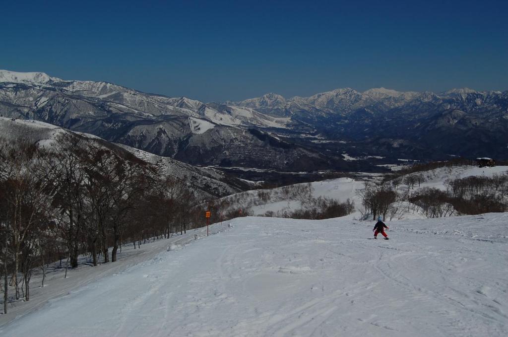 Villa Il Bosco à Hakuba Extérieur photo