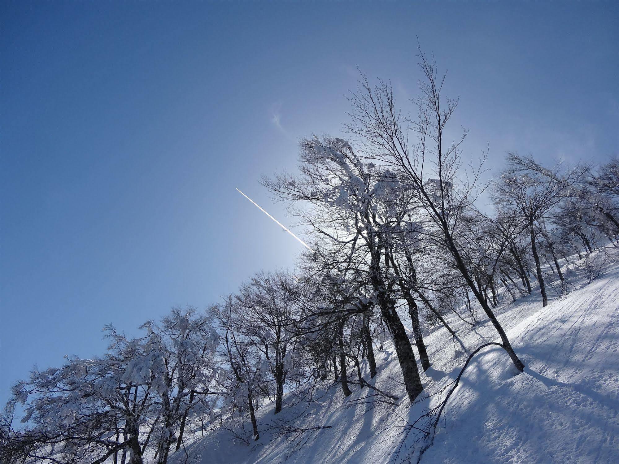 Villa Il Bosco à Hakuba Extérieur photo